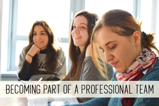 becoming part of a professional team online childcare class