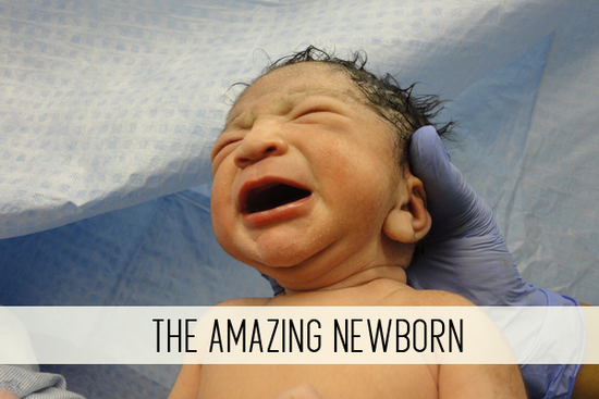 the amazing newborn online child care class