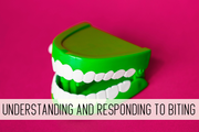understanding and responding to biting online child care class