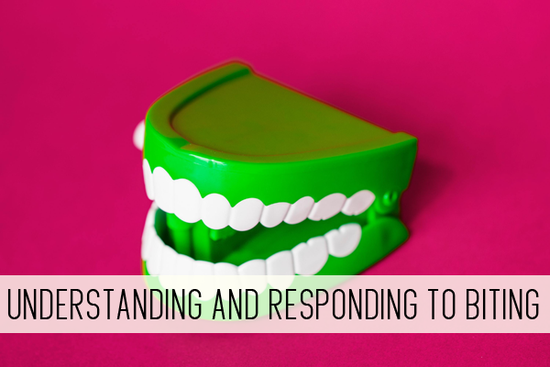 understanding and responding to biting online child care class